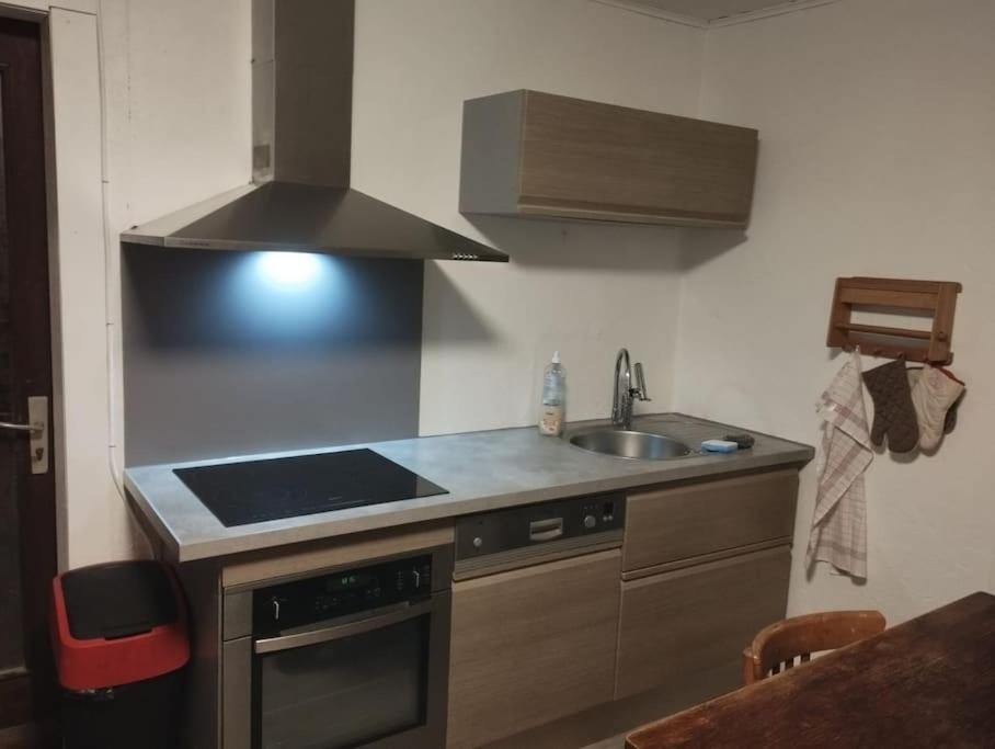 Chalet 8 Personnes + Grand Terrain Et Riviere Entremont エクステリア 写真