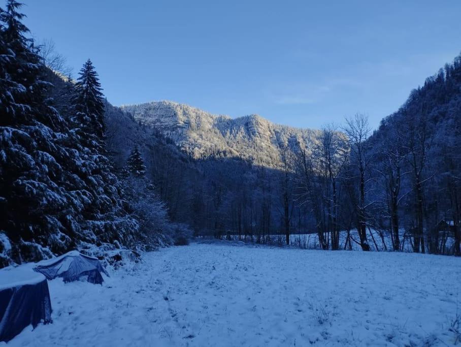 Chalet 8 Personnes + Grand Terrain Et Riviere Entremont エクステリア 写真