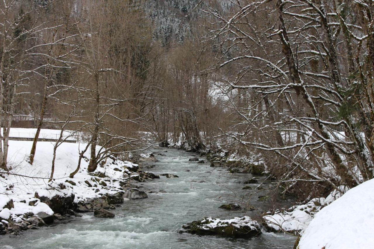 Chalet 8 Personnes + Grand Terrain Et Riviere Entremont エクステリア 写真