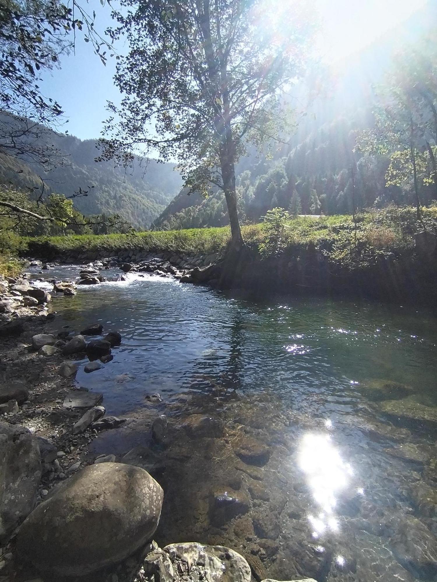 Chalet 8 Personnes + Grand Terrain Et Riviere Entremont エクステリア 写真