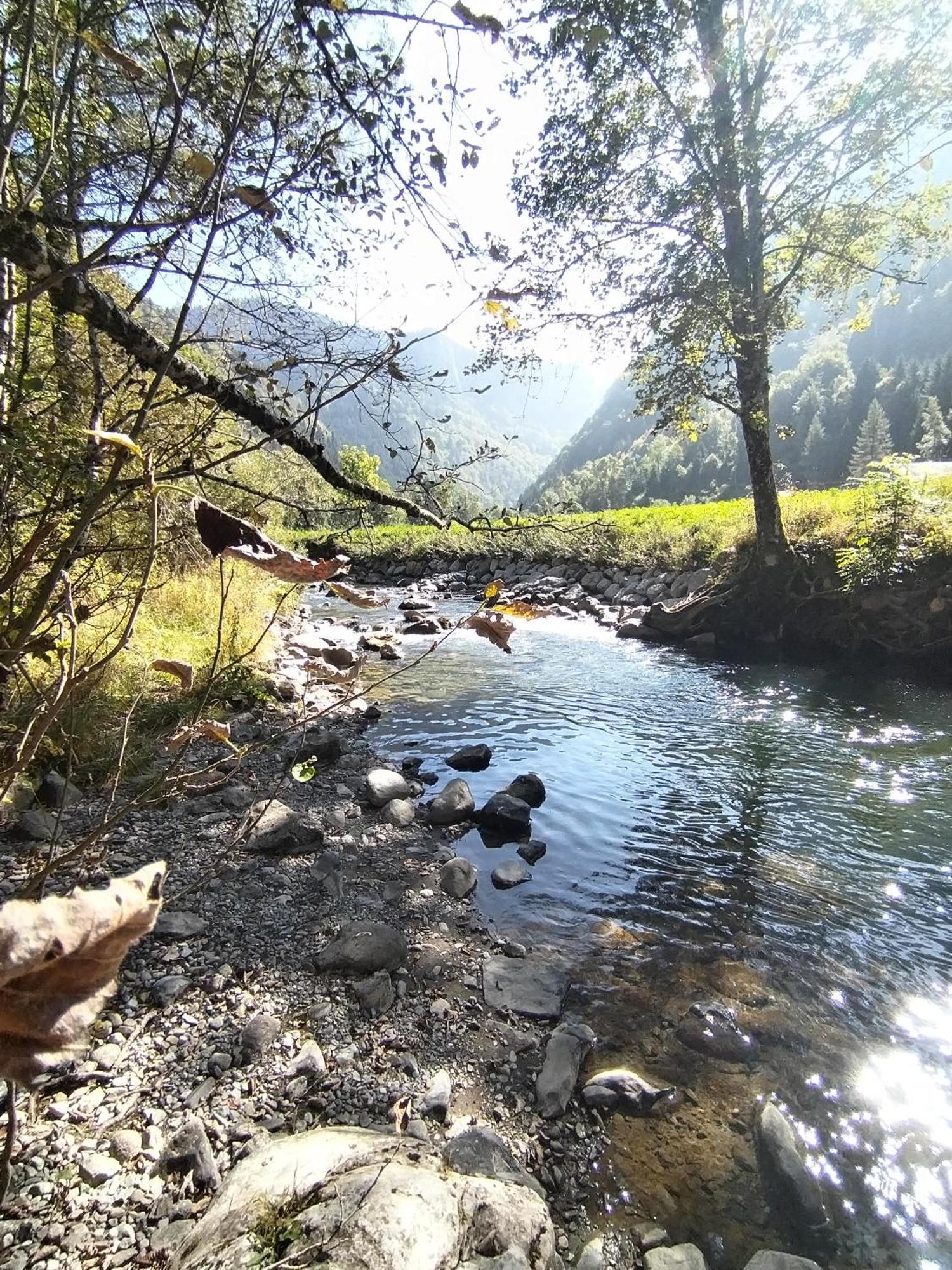 Chalet 8 Personnes + Grand Terrain Et Riviere Entremont エクステリア 写真